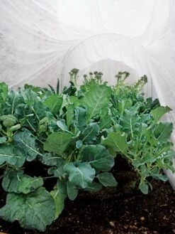 Summerweight Garden Fabric 10 Summerweight Garden Fabric -Gardeners 32644 7936 tif