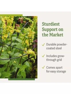 Essex Plant Supports -Gardeners 37 423 product details