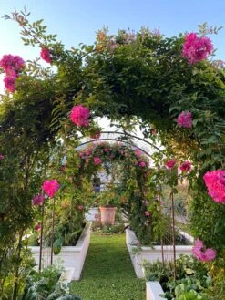 Jardin Rose Arch 9 Jardin Rose Arch -Gardeners 38 690 03IN tif