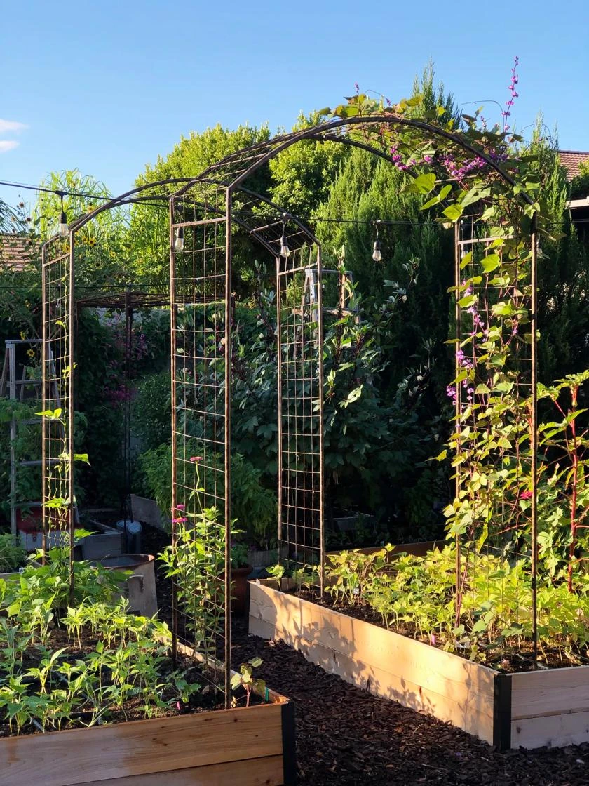 Jardin Rose Arch 4 Jardin Rose Arch - Image 2