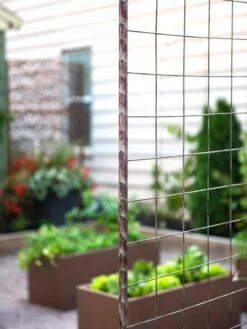 Jardin Rose Arch 10 Jardin Rose Arch -Gardeners 38690 9948 tif