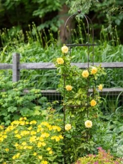 Jardin Round Obelisk, 7' -Gardeners 39 530 1668 tif