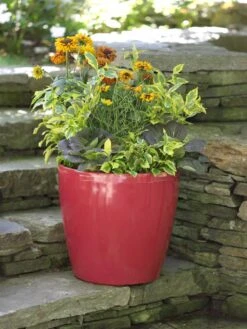 Viva Round Self-Watering Rolling Planter, 17.25” Diameter -Gardeners 39326 046 tif