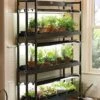 3-Tier Sunlite® Garden -Gardeners 39357 004 grow lights with three shelves large tif