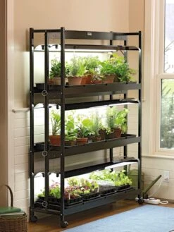 Gardeners 37 3-Tier SunliteĀ® Garden