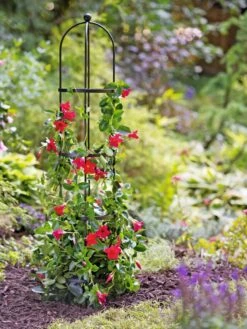 Essex Round Trellises -Gardeners 39544 2267 tif