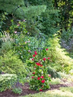 Essex Round Trellises -Gardeners 39545 2286 tif