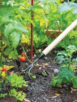 Gardener's Lifetime Long-Handled Double Tool 9 Gardener's Lifetime Long-Handled Double Tool -Gardeners 3 4 crop 8592107 2460 tif