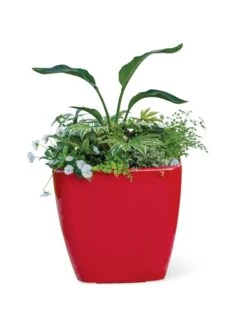 Viva Square Self-Watering Rolling Planter, 20" Diameter, Set Of 2 -Gardeners 3 4 crop 8612930 0037 tif