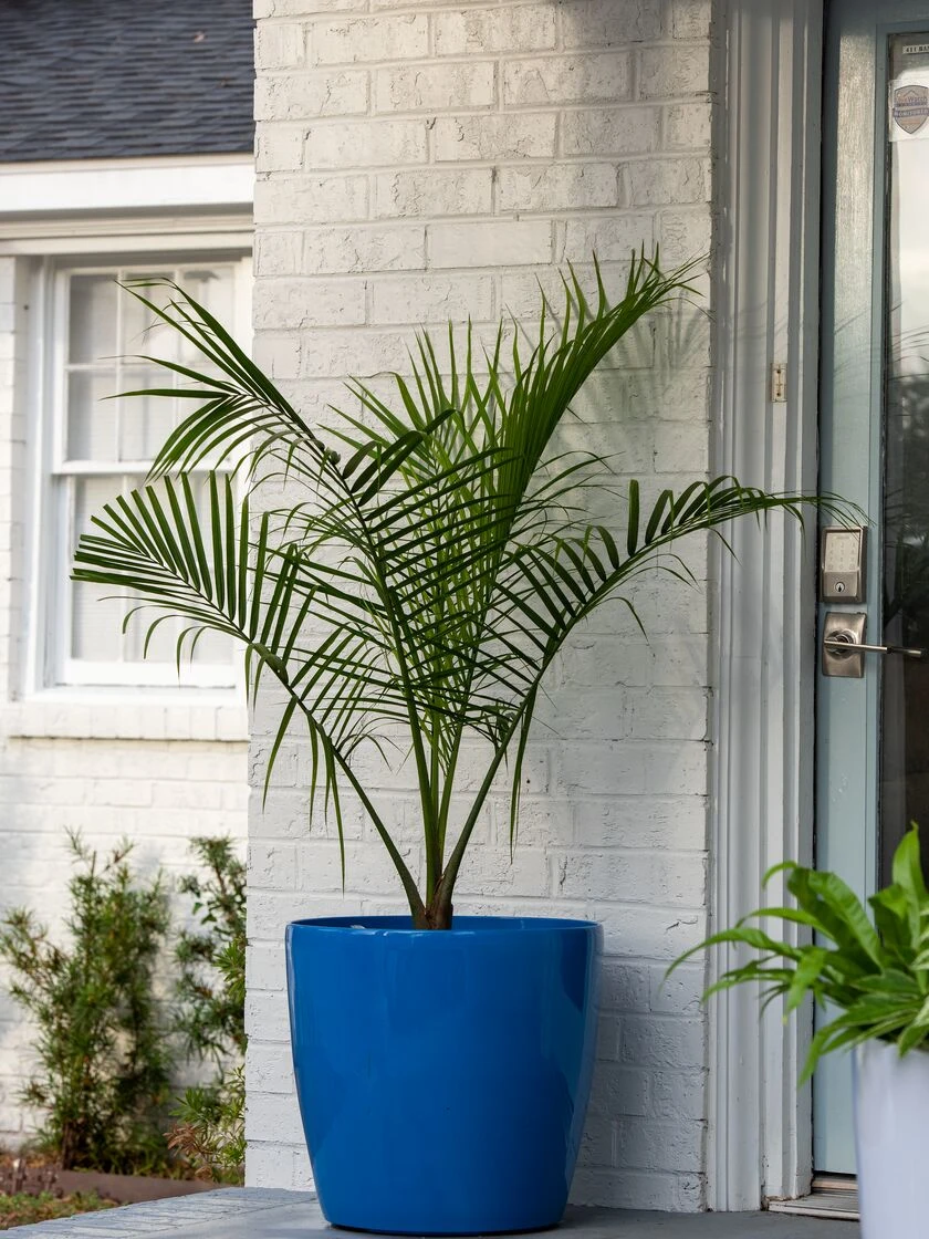 Viva Round Self-Watering Rolling Planter, 20" Diameter, Set Of 2 5 Viva Round Self-Watering Rolling Planter, 20" Diameter, Set Of 2 - Image 3