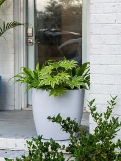 Viva Round Self-Watering Rolling Planter, 20" Diameter, Set Of 2 17 Viva Round Self-Watering Rolling Planter, 20" Diameter, Set Of 2 -Gardeners 3 4 crop 8612933 0025 tif