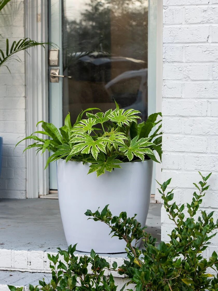 Viva Round Self-Watering Rolling Planter, 20" Diameter, Set Of 2 6 Viva Round Self-Watering Rolling Planter, 20" Diameter, Set Of 2 - Image 4