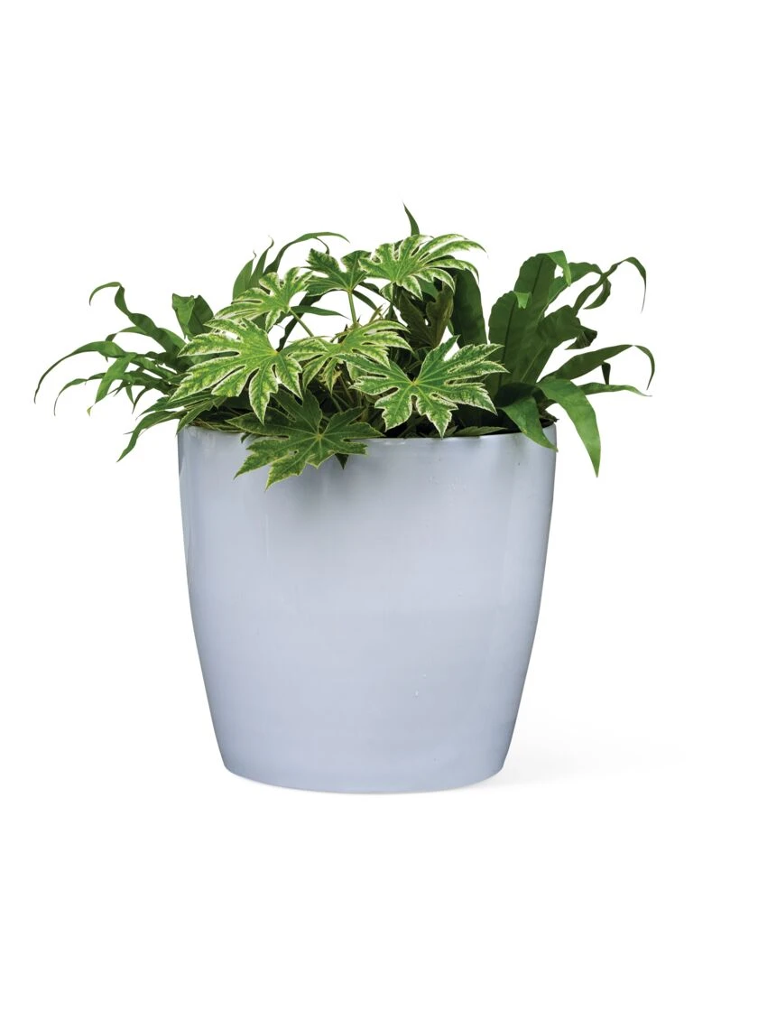 Viva Round Self-Watering Rolling Planter, 20" Diameter, Set Of 2 8 Viva Round Self-Watering Rolling Planter, 20" Diameter, Set Of 2 - Image 6