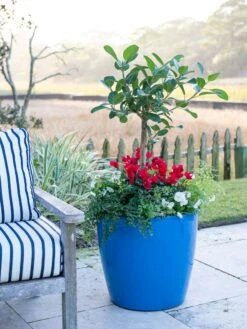 Viva Round Self-Watering Rolling Planter, 20" Diameter, Set Of 2 18 Viva Round Self-Watering Rolling Planter, 20" Diameter, Set Of 2 -Gardeners 3 4 crop 8612933 5312 tif