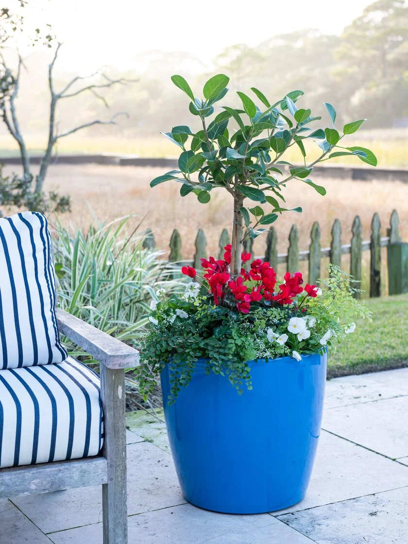 Viva Round Self-Watering Rolling Planter, 20" Diameter, Set Of 2 7 Viva Round Self-Watering Rolling Planter, 20" Diameter, Set Of 2 - Image 5