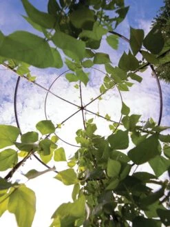 Jardin Tower 12 Jardin Tower -Gardeners 3 4 crop 8612997 0033