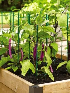 Pepper And Eggplant Stakes, Set Of 3 7 Pepper And Eggplant Stakes, Set Of 3 -Gardeners 40308 2116 tif