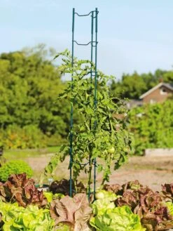 Stacking Tomato Ladders, Set Of 6 9 Stacking Tomato Ladders, Set Of 6 -Gardeners 40309 100 tif
