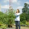 Stacking Tomato Ladders, Set Of 6 2 Stacking Tomato Ladders, Set Of 6 -Gardeners 40309 4147 tif