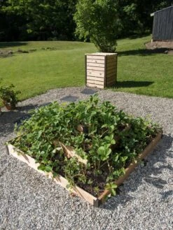 3-Tier Strawberry Bed 10 3-Tier Strawberry Bed -Gardeners 8586752 2341 tif