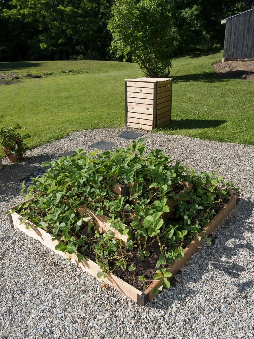 3-Tier Strawberry Bed 6 3-Tier Strawberry Bed - Image 4