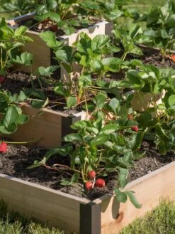 Gardeners -Gardeners 8586752 4552 tif