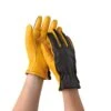 Women's Gold Leaf Dry Touch™ Gloves -Gardeners 8586891 007 tif