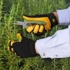 Women's Gold Leaf Soft Touch™ Gloves -Gardeners 8586896 015 tif