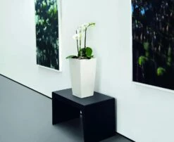 Lechuza® Cubico Color Tall Self-Watering Planters -Gardeners 8589485 03V tif