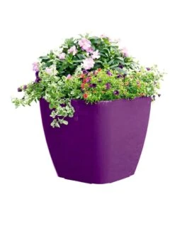 Viva Square Self-Watering Rolling Planter, 17.5" Diameter -Gardeners 8589778PR 6126 tif