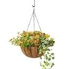 AquaSav⢠Oxford Hanging Basket, 14" 1 AquaSav⢠Oxford Hanging Basket, 14" -Gardeners 8589789 028 tif