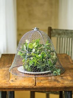 Chicken Wire Cloche -Gardeners 8590210 1 tif