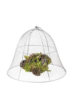 Chicken Wire Cloche -Gardeners 8590210 675 tif