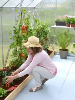 Canopia® By Palram Essence™ Greenhouse, 8' X 12' 18 Canopia® By Palram Essence™ Greenhouse, 8' X 12' -Gardeners 8591356 04V tif