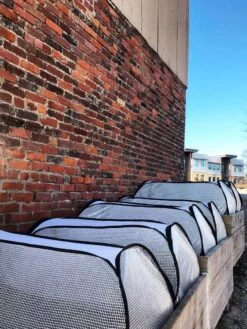 Row Shelter Accelerator 11 Row Shelter Accelerator -Gardeners 8591990 01IN tif