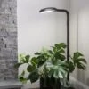 Agrobrite Floor Plant Lamp -Gardeners 8592053 0215 tif