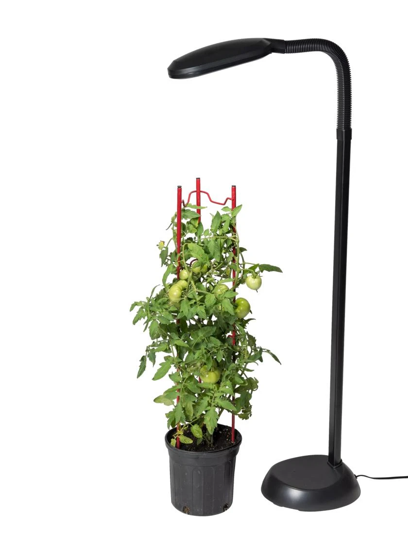 Agrobrite Floor Plant Lamp 4 Agrobrite Floor Plant Lamp - Image 2