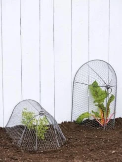 3-in-1 Chicken Wire Cloche 11 3-in-1 Chicken Wire Cloche -Gardeners 8592117 0188 tif