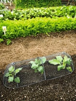 Gardeners 31 3-in-1 Chicken Wire Cloche