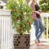 Gardener's Revolution® Tomato Planter -Gardeners 8592159 406 001E tif