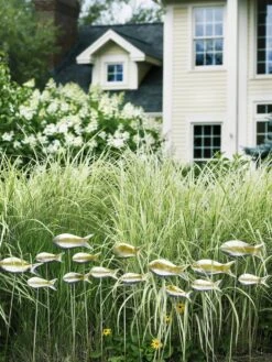 Fish Out Of Water Garden Stakes, Set Of 5 14 Fish Out Of Water Garden Stakes, Set Of 5 -Gardeners 8593672 9124 tif