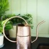 Copper Indoor Watering Can -Gardeners 8593724 5369 tif