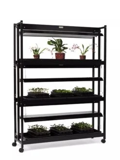 High Intensity 3-Tier SunLite® Garden -Gardeners 8593944 1608 tif