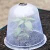 Large Garden Cloches, Set Of 3 -Gardeners 8593984 345 tif