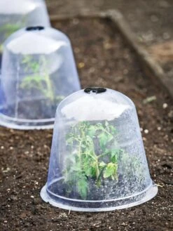 Large Garden Cloches, Set Of 3 -Gardeners 8593984 9432 tif