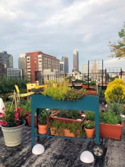 Demeter Mobile Planter Cart -Gardeners 8594148 01CUST tif