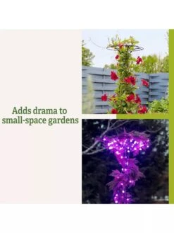 Essex Tuteur, 63" -Gardeners 8594162 3