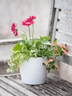 Viva Round Self-Watering Planter, 7" Diameter -Gardeners 8595222 1139 tif