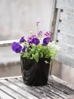 Viva Round Self-Watering Planter, 7" Diameter -Gardeners 8595222 1140 tif