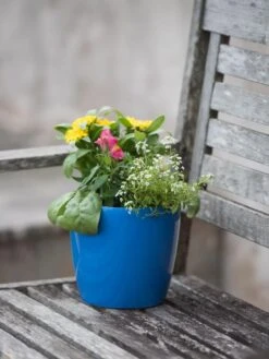 Viva Round Self-Watering Planter, 7" Diameter -Gardeners 8595222 1143 tif